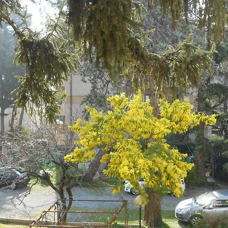 Casa Delfino Hotell *