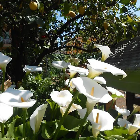 Casa Delfino Апартаменты Диано-Марина