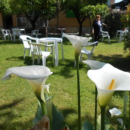 Appartement Casa Delfino *