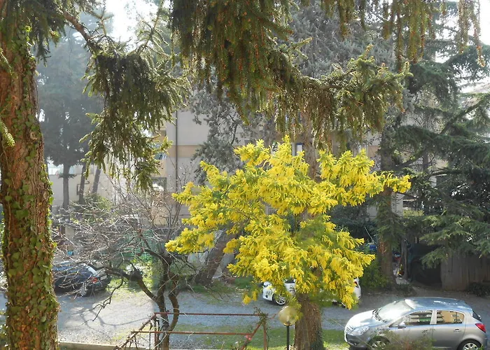 Casa Delfino Apartman *